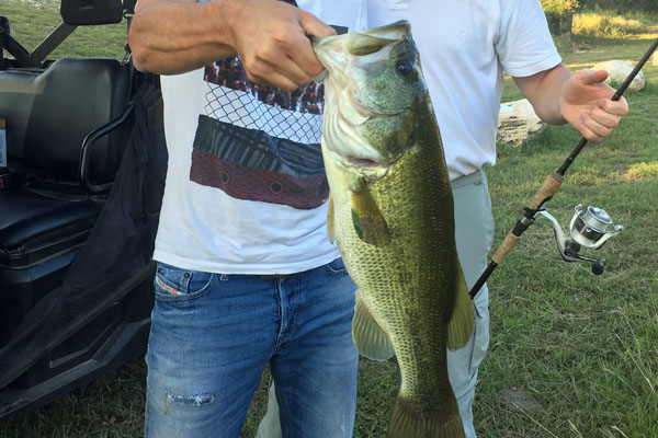 Big largemouth bass from Pipe Creek