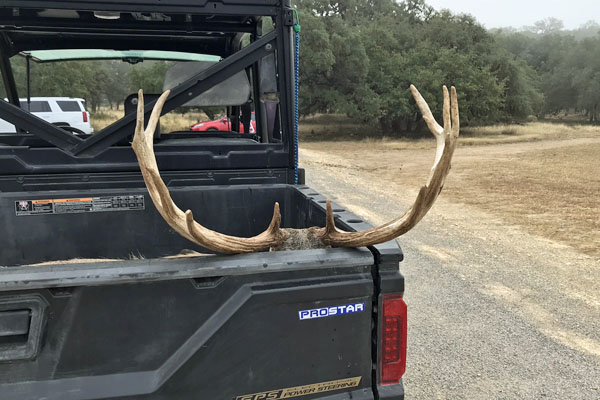South Texas Whitetail Buck Hunt Success at Hunting Ranch