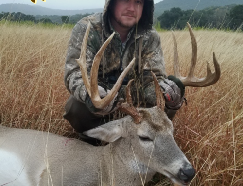 Save on a Texas Whitetail Buck Hunt