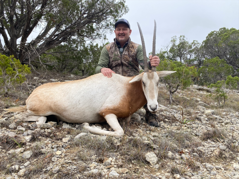 Texas Exotic Hunts, Oryx Hunts in Hill Country Rancho Madrono